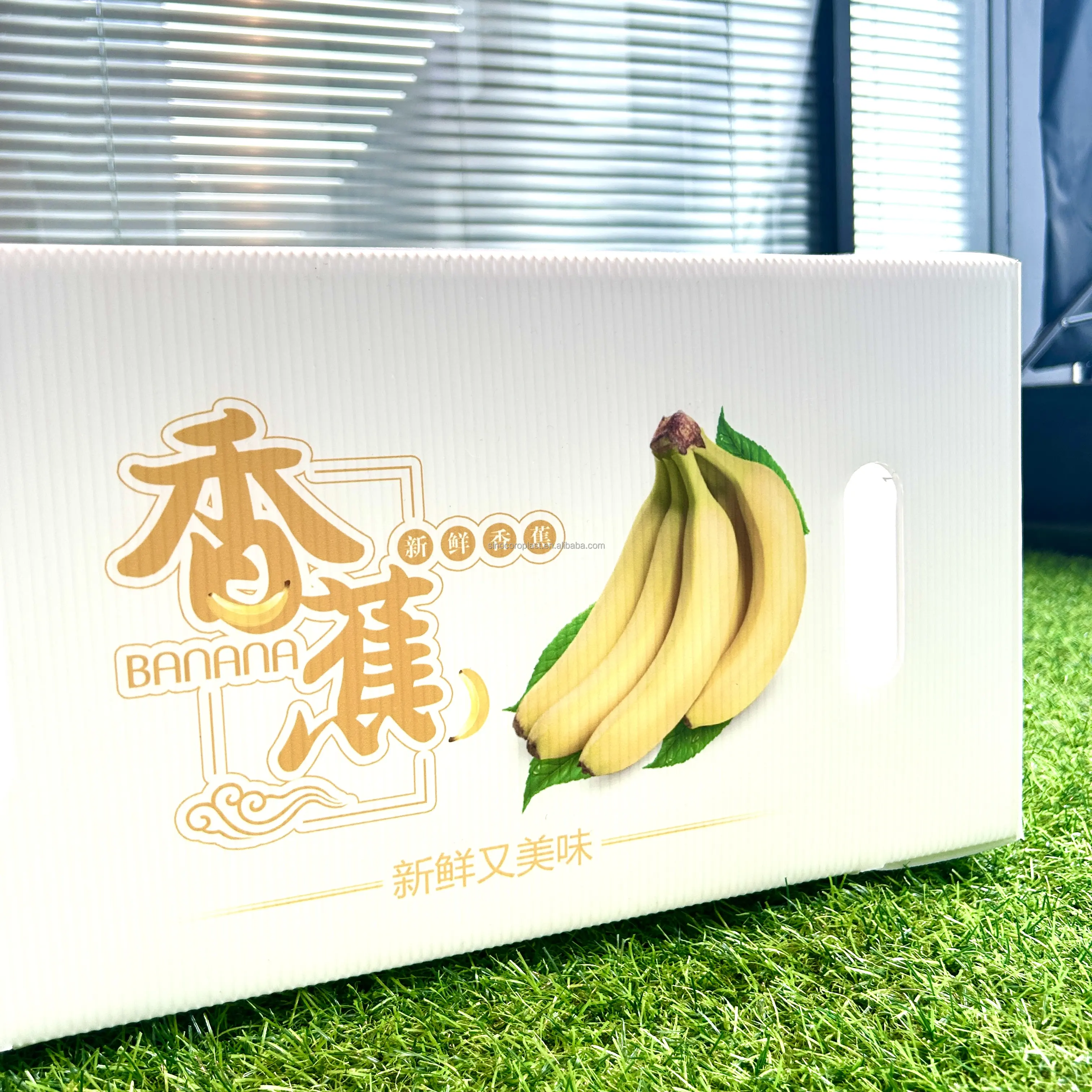 Polypropylene plastic box organic vegetable foldable honeycomb pp grape packaging banana plain corrugated box for fruit