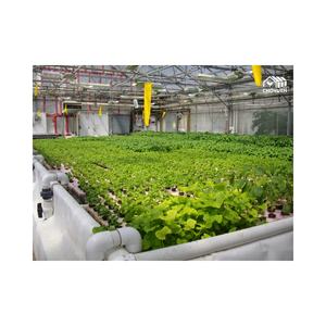 Cchoyueh الأسماك والخضروات المشتركة القائمة aquaponics النظام - Product Image 4