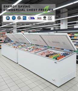 Congelatore Orizzontale X-MING OEM 800L, Congelatori a Pozzetto di Grandi <span class=keywords><strong>Dimensioni</strong></span>, Frigorifero Commerciale a Raffreddamento Rapido - Product Image 2