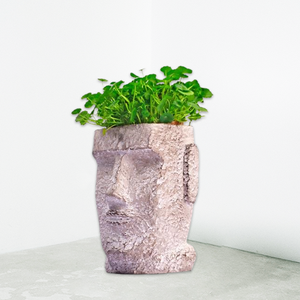 กระถางปลูกต้นไม้หน้าสำหรับตกแต่งสวนกระถางบอนไซอวบน้ำกระถางซีเมนต์ขนาดเล็กสำหรับปลูกในร่มกลางแจ้งกล่องวินเทจ - Product Image 6