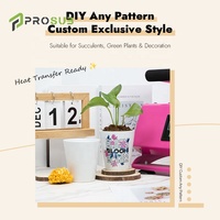 Pots à fleurs en céramique personnalisés Proub avec logo personnalisé, 12 oz, pots à fleurs en céramique vierges pour sublimation