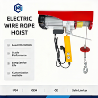 Palans électriques CE anti-corrosion, résistants à l'usure, 110V 220V, freinage automatique en cas de panne de courant, 230V, 1 tonne, pour atelier et entrepôt