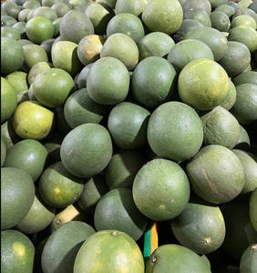 Pelure de pomelo séchée Bonne qualité OEM Meilleure fabrication Emballage Pack en vrac - Product Image 5