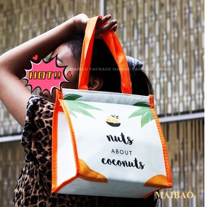 <span class=keywords><strong>2025</strong></span> cách điện không dệt Ice Cream Cooler túi chân không cách điện hộp lạnh để lưu trữ và vận chuyển Ice Cream và đồ uống - Product Image 4