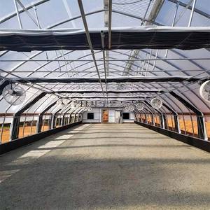 Invernadero profesional, duradero y automatizado de un solo tramo, tipo túnel grande de polietileno, con oscurecimiento y privación de luz, para cultivo de hongos y <span class=keywords><strong>hierbas</strong></span> - Product Image 5