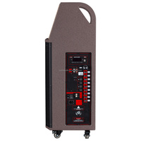 Enceinte active TS10 de 10 pouces à large bande avec 400 W RMS, grand écran, lecture de musique, Wifi, Bluetooth, USB, micro, enceinte mobile pour extérieur