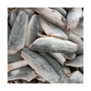 X221 Frozen Round Scad Fish HGT 7-9cm Manufacturer high quality frozen mackerel HGT