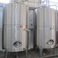 Réservoir de fermentation de jus de champagne 1000l fermentatore del vino équipement de fermentation de vin