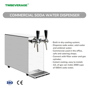 Distributeur manuel <span class=keywords><strong>de</strong></span> soda pétillant TWBEVERAGE en acier inoxydable 304 durable, intégré, pour bureau, café, restaurant - Product Image 1