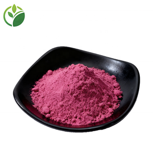 Wholesale Bulk High Quality 25% Anthocyanin <strong>Cranberry</strong> <strong>Extract</strong> Powder <strong>Cranberry</strong> Powder <strong>Cranberry</strong> Juice Fruit <strong>Extract</strong> - Product Image 2
