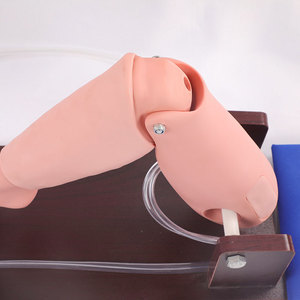 หุ่นจำลองทางการแพทย์ PVC ขนาดเท่าคนจริง ทนทาน สำหรับฝึกทักษะทางคลินิก การเจาะไขกระดูกและการเจาะเลือด DARHMMY - Product Image 3