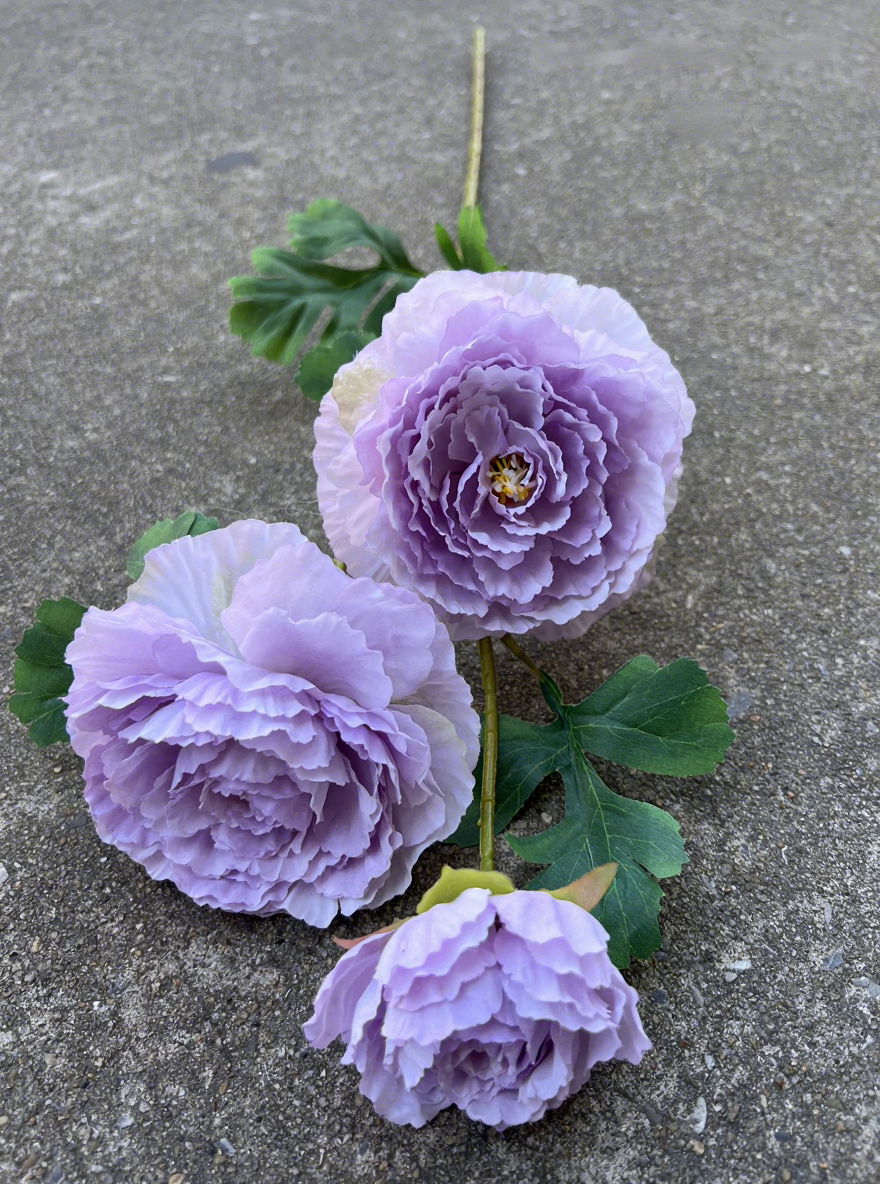 4#3 têtes de pivoine melaleuca violet clair