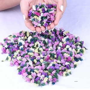 Cabezas de Flores Secas Naturales de No Me Olvides (Forget Me Not) en Oferta para Aromaterapia, Fabricación de Velas y Bolsitas Aromáticas - Product Image 1