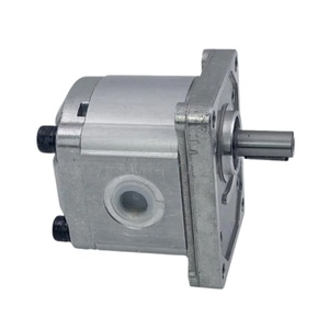 Pompa Idraulica a Ingranaggi Serie PHP Fornita dalla Fabbrica: PHP20.26D0-83E2-LBF/BD-N, PHP30.52D0-84E3-LEF/EE-N, PHP40.80D0-81E2-<span class=keywords><strong>LFE</strong></span>/EF-N - Product Image 5