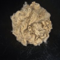 Fibre de polyester recyclée 4080 beige brun 4D 51mm Bico Low Melt Fiber Lmf