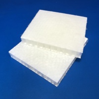 Panneau sandwich en nid d'abeille en fibre de verre thermoplastique PP CFRT, panneau léger pour plaque de protection de bâtiment