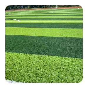 Le moins cher professionnel Football synthétique sans remplissage 30mm pelouse prix Futsal gazon non intercalaire Football Club <span class=keywords><strong>Academy</strong></span> - Product Image 1