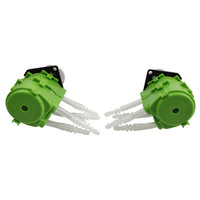Pompe péristaltique à double tête modèle G328D 12V/24V, petite unité de pompage de laboratoire, résistante à la corrosion, automatique, double canal