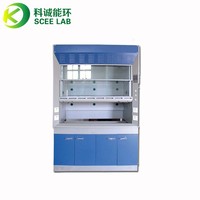 Équipement de laboratoire professionnel, hotte à fumées chimiques entièrement en acier, modèle SCEELAB SL-A pour usage hospitalier et scolaire