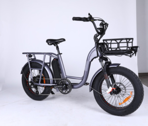 Bici elettrica <span class=keywords><strong>OTM</strong></span> 20 pollici bici elettrica 48V 750W mozzo posteriore motore consegna Fast Food bici elettrica - Product Image 1
