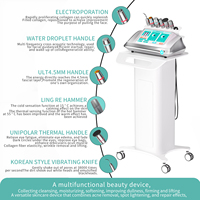 Appareil de beauté domestique amélioré - Machine de soin du visage