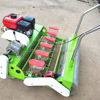 Poussez la machine de plantation de graines d'oignon de semoir de main de carotte