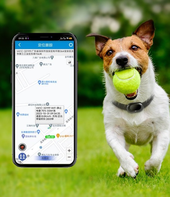 Waterproof Pet 4G GPS Tracker G68P Chip for Mini Dog Cat Global Real Time 4G GPS Locator Health Monitoring
