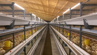 Tube LED T5 étanche et connectable pour élevages avicoles, 4W 5W 6W 8W, dimmable, pour poulaillers et cages de poulets de chair