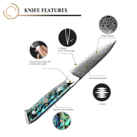 Japans Mes-Vg10 Damascus Stalen Mes Met Ergonomisch Schaalhandvat