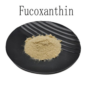 Thực phẩm lớp <span class=keywords><strong>fucoxanthin</strong></span> bổ sung tảo bẹ chiết xuất 10% 50% <span class=keywords><strong>fucoxanthin</strong></span> bột đa đặc điểm kỹ thuật tùy biến - Product Image 2