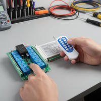 Commutateur de télécommande sans fil industriel 433 MHz 12 canaux automatique en plastique, 12 boutons, AC 220V, émetteur-récepteur RF à code d'apprentissage