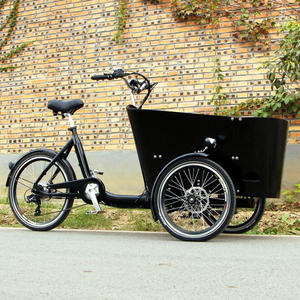 Bicyclette cargo électrique famille 36V, 3 roues, pour mère et bébé, enfants ou animaux de compagnie - Product Image 4