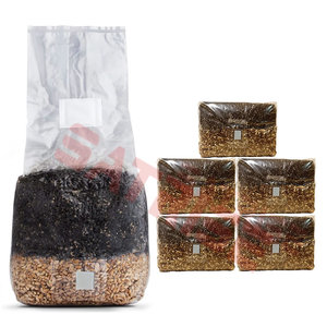 High-density Pp Mushroom Grow Bags With Injection Port With 0.2/0.5 Micron Filter Patch Customizable Autoclave-resistant - Product Image 1