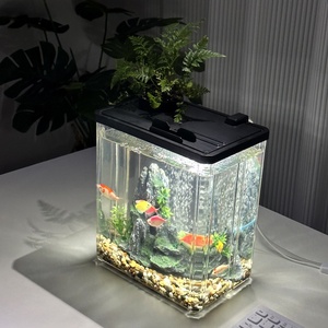 Aquarium écologique de bureau en plastique transparent épaissi pour micro-paysage, avec couvercle, pour poissons Betta et tortues de salon - Product Image 3