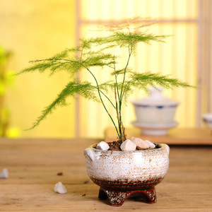 <span class=keywords><strong>Pot</strong></span> de fleur Vintage finition émaillée nouveau Design four à haute température changement décoration de la maison succulentes plantation élégante utilisation de bureau - Product Image 2