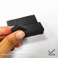 2025 Nouveau Design Dailymag Domino Taille Aimant 1-7/8X7/8X3/8 "Aimants En Céramique Grade 8 Ferrite Dur