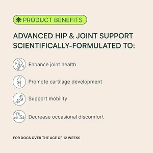 Tabletas Masticables para Articulaciones de Perros y Gatos, Glucosamina MSM, Soporte para Articulaciones de Cadera, Soporte Inmunológico, Reduce <span class=keywords><strong>el</strong></span> Dolor y la Inflamación, Mejora la Movilidad Rápidamente - Product Image 4