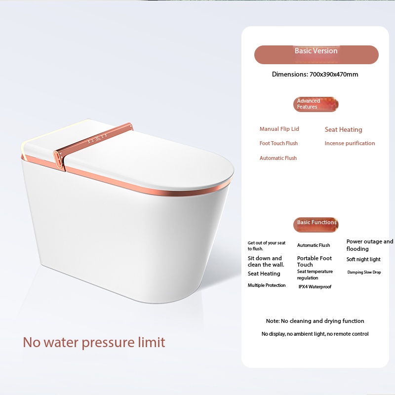 Simple Function with Water Tank-Rose gold 110V