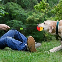 Balle à mâcher en caoutchouc thermoplastique pour animaux de compagnie, résistante aux morsures, avec corde, pour le nettoyage des dents et les friandises, jouet interactif pour chats et chiens