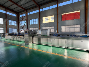 Clasificador Inteligente de <span class=keywords><strong>Papas</strong></span> - <span class=keywords><strong>Identificación</strong></span> de Defectos por IA para Fábricas de <span class=keywords><strong>Papas</strong></span> Fritas - Product Image 5