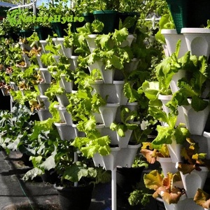 Pots de fleurs en plastique vertical, grand format, tour hydroponique pour décorations, offre spéciale - Product Image 5