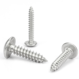 Vis autotaraudeuses en acier inoxydable 316 M4 M5 M6 à tête cruciforme large pour le travail du bois, 10 pièces/sac - Product Image 3
