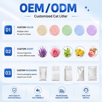 Litière pour chat écologique en tofu et manioc, agglomération rapide, élimination des odeurs, soluble dans l'eau, jetable aux toilettes, OEM, vente en gros en vrac