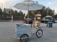 Tricycle de café de rue chariot de vente de crème glacée alimentaire chariot à vendre
