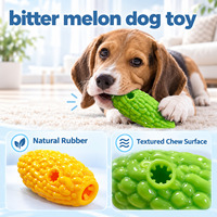 Jouets interactifs pour chiens en forme de melon amer, jouets à mâcher et à grincer en TPR pour chiens, en forme de courge amère