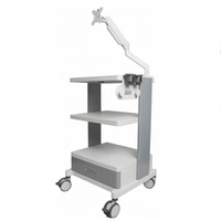 Équipement de diagnostic vétérinaire tout-en-un, support de moniteur médical en métal, chariot d'endoscopie, certifié CE, SNUKE LN-N8001 Classe II
