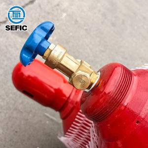 Mélange standard DOT-3AA d'acier sans soudure Argon + bouteille de gaz CO2 43.3L 2265psi - Product Image 3