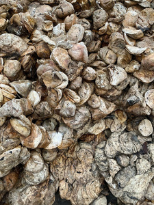 Copa de Vietnam 65-70% Goma de látex DRC de alta pureza Producto de precios globales competitivos - Product Image 4