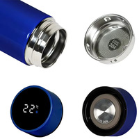 Inteligente Termo Digital 500ml Acero inoxidable LED Pantalla de temperatura inteligente Frasco térmico Taza Botella de agua con colador de té