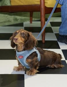 Moda de lujo Respetuoso con el medio ambiente Easy Walk Dog <span class=keywords><strong>Cat</strong></span> Arnés Correa para el pecho para perros a prueba de explosiones Cuerda de plomo ajustable antirotura S,M,L - Product Image 3